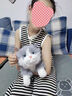 龙猫泰迪小猫抱枕猫咪玩偶布娃娃可爱仿真猫公仔毛绒玩具送女友生日礼物 布偶猫灰色 53 实拍图