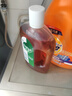 滴露（Dettol）洗衣消毒液衣物消毒水750mL除螨 家居宠物地板杀菌 非84酒精 实拍图