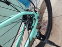 PHILLIPS菲利普山地自行车26寸男女成人款学生青少年中大童变速通勤单车 青竹色 高碳钢 辐条轮 26寸27速 建议身高155-180cm 实拍图
