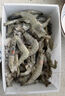 虾有虾途国产青岛大虾白虾青虾基围虾鲜虾冷冻生鲜虾类鲜活特大海捕整箱装 14-16厘米 3斤(净重) 实拍图