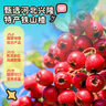 小鹿蓝蓝 童趣造型多味山楂棒大礼包 宝宝儿童零食 儿童山楂棒零食300g 实拍图