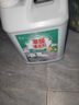 Lvbai高浓度草酸清洁剂瓷砖清洁厕所卫浴地板工厂去污水泥除垢5.2斤 实拍图
