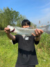 SHIMANO 禧玛诺21新款NASCI纳西纺车轮路亚轮海钓轻量远投进口渔轮 2500HG高速比6.2 实拍图