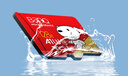 banq&JOY联名款 128GB TF（MicroSD）存储卡U3 C10 A1 V30 4K 高速款行车记录仪&监控摄像头手机内存卡 实拍图