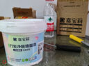 嘉宝莉（CARPOLY）补墙漆白色墙面修补内墙补墙膏神器抗甲醛翻新漆油漆涂料白色1kg 实拍图