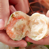 喜得佳草虾丸200g 火锅食材 潮汕手打虾丸子丸料鲜虾球鱼丸关东煮麻辣烫 实拍图
