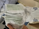 babycare金山茶花纸尿裤M50片(6-11kg)婴儿尿不湿【新老混发】 实拍图
