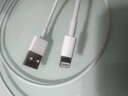 Apple/苹果 闪电转USB充电线-1米 苹果充电线手机充电线原装充电线数据线适 用于闪电接口iPhone/iPad 实拍图