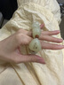艺香天然和田玉羊脂冰玉手串 男女款 转运珠玉石手真玉 手串 实拍图