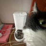 小佩智能自动喂食器SOLO白色 猫碗猫狗喂食器定时定量猫咪自动投食器 实拍图