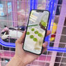 ALittleFlower适用于苹果16钢化膜iphone16手机膜高清防尘防指纹全包边贴膜全屏覆盖不顶手机壳保护膜2片 实拍图
