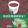 威拓森雄黄驱蛇粉强力防蛇长效硫磺驱蛇颗粒防蛇虫药家用户外神器硫黄粒 桶装5斤(驱蛇颗粒，防雨)送手套 实拍图