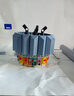 乐高（LEGO）积木拼装10311 兰花永生花男孩女孩女生玩具生日礼物 实拍图