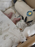 babycare婴儿安抚枕头宝宝多功能抱枕透气枕头6月-6岁-比奇角恐龙39*12cm 实拍图