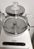 澳柯玛（AUCMA）316自动上水恒温电热水壶0.8L玻璃煮茶器功夫茶具茶台泡茶烧水壶煮茶壶电茶炉电水壶煮中药J1 实拍图