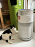 霍尼韦尔（Honeywell）宠物空气净化器吸猫毛除过敏源猫猫搭子 猫毛净化器杀菌消毒除异味【家电国家补贴】KJ360F-C22W 实拍图