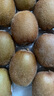 佳沛（zespri）绿奇异果优选果27-33个原箱装单果约101-135g水果 猕猴桃 实拍图