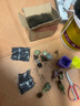 多肉植物精选图片品种发货照图办公室室内阳台桌面图片品种指定品 紫珍珠+淡雪+黄丽+蓝鸟+盆土 实拍图