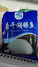 查干湖银鱼250g*2袋 新鲜冷冻国产淡水鱼面条鱼白饭鱼源头直发包邮 实拍图