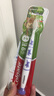 高露洁（Colgate）不倒翁儿童牙刷2-3-6-9岁宝宝软毛牙刷磨圆柔丝刷毛双支 三色随机 实拍图