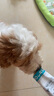 卫仕 营养膏120g宠物狗狗猫咪幼犬营养膏微量元素维生素鱼油犬猫通用 实拍图