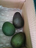 鲜青录秘鲁进口牛油果鳄梨奶油酷热带新鲜宝宝孕妇水果 780g划算【6个中大果 单果130-160g 实拍图