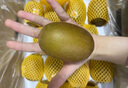 佳沛（zespri）新西兰  阳光金奇异果10粒礼盒巨大果单果约144-175g 水果 猕猴桃 实拍图