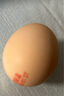 蛋鲜森 可生食土鸡蛋10枚礼盒装 生鲜蛋类 单枚40g鲜鸡蛋 源头直发包邮 实拍图