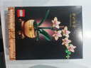 乐高（LEGO）积木拼装10343 典雅兰男孩女孩玩具生日礼物 实拍图
