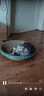 疯狂的主人 猫抓板窝超大号猫玩具猫爪板猫抓盆不掉屑猫窝碗形圆形瓦楞纸 实拍图