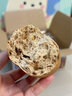 三只松鼠水牛乳坚果全麦面包棒480g 早餐面包代餐欧包休闲零食糕点点心 实拍图