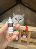 宠物猫咪狗普乐美清普乐信滴眼液安愈灵皮肤喷膏安舒宁皮肤病 普乐美滴眼液1支 实拍图