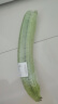 碧水长丝瓜约700g 实拍图