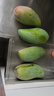 田良季广西金煌芒果特大芒大青玉水仙新鲜芒果凯特生鲜水果送礼品物盒 净重5斤装【很划算】 甄选特级果【单果600g+】 实拍图