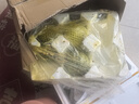 八里香甜瓜当季新鲜水果东北香瓜整箱批发豹纹小香瓜白糖罐 高复购【净重4.7斤】品质升级 正宗东北黑土地甜瓜 实拍图