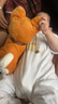 babycare 电动毛绒玩具会说话鸭子鹦鹉复读鸭儿童哄娃神器ai智能儿童礼物 毛绒小狗柴犬 电动毛绒玩偶 实拍图