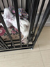 喵先生【加固全方管】狗笼中大型犬狗笼子带厕所金毛拉布拉多室内外狗窝 加粗加固六面全方管110*75*90 实拍图