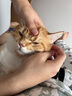 皇家皇家绝育成猫粮 SA37通用粮 1-7岁2KG  实拍图