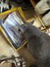 FURRYTAIL尾巴生活猫一条猫条零食猫咪肉泥猫咪营养条肉条12g*6条装 混合口味(60条装) 实拍图