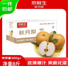 京鲜生山东烟台莱阳秋月梨净重3斤单果250g+  新鲜水果 源头直发包邮 实拍图