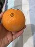 新奇士（Sunkist）澳大利亚进口蓝标早脐橙7斤礼盒 单果180g起 新鲜水果 实拍图
