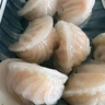 GUO LIAN国联 水晶虾饺 1kg 40只 冬笋口味袋装 广式早茶早餐点心预制菜 实拍图