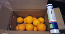 京喜加伦晚夏橙脐橙手剥橙 带箱5斤特大果80+mm 实拍图