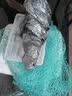 优得比 收纳盒迷你塑料透明零件盒样品整理盒子小储物长方正方形盒带盖 815(2个装)内15.7*11.2*5.5cm 实拍图