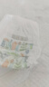 碧芭宝贝丛林狂想曲训练裤拉拉裤 XXL32片（15kg以上） 实拍图