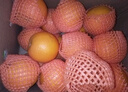 京喜加伦晚夏橙脐橙手剥橙 带箱5斤特大果80+mm 实拍图
