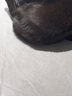 TBOML小黑猫包包挂件可爱毛绒玩偶车钥匙扣公仔书包背包挂饰高级感礼物 小黑猫+黑挂绳 一只 晒单实拍图