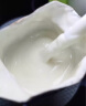 伊利安慕希希腊风味早餐酸奶 原味205g*10盒 【轻享自饮装】 实拍图