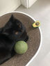 hoopet猫玩具猫薄荷球自嗨解闷磨牙洁齿神器猫猫小猫逗猫棒宠物猫抓板猫咪用品大全超大啃咬逗猫球 10cm猫薄荷球  自嗨利器 实拍图