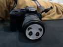 适马（SIGMA）18-50mm F2.8 DC DN｜Contemporary 恒定大光圈标准变焦人像镜头 适马1850半画幅微单相机挂机镜头 佳能RF卡口 12期免息【主图配件+0元限时升级套餐一 实拍图